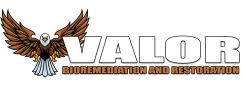 Valor Bioremediation and Restoration logo featuring an eagle and the brand name, representing mold remediation and restoration services in Florida.